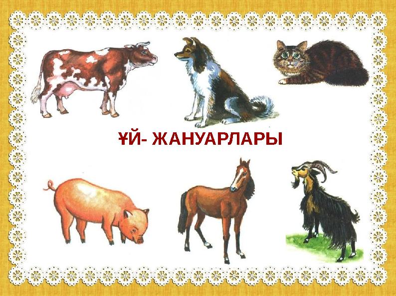 ҰЙ- ЖАНУАРЛАРЫ ҰЙ- ЖАНУАРЛАРЫ