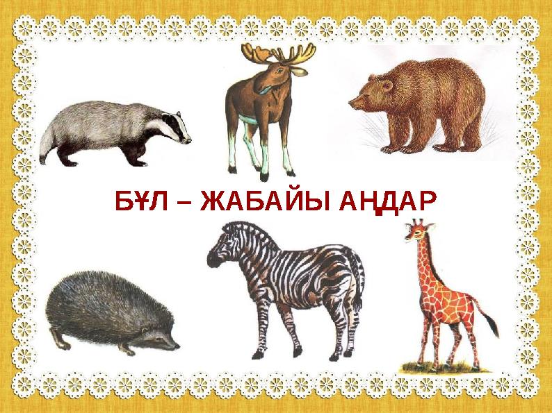 БҰЛ – ЖАБАЙЫ АҢДАР БҰЛ – ЖАБАЙЫ АҢДАР