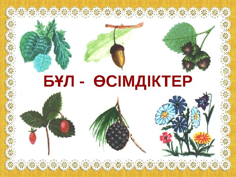 БҰЛ - ӨСІМДІКТЕР БҰЛ - ӨСІМДІКТЕР