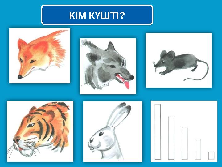 КІМ КҮШТІ? КІМ КҮШТІ?