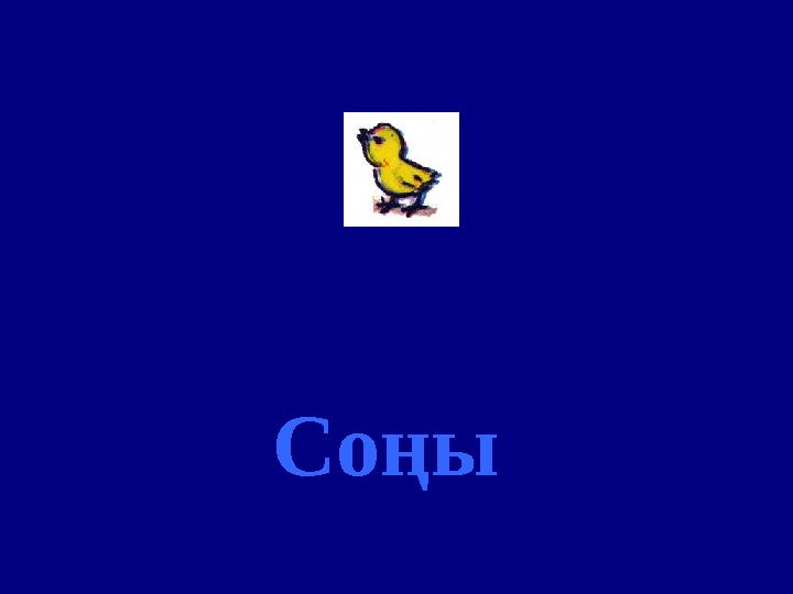 Соңы Соңы