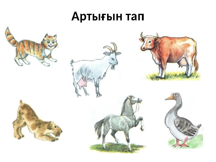 Артығын тап