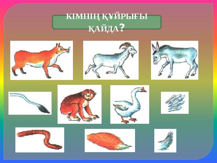 КІМНІҢ ҚҰЙРЫҒЫ ҚАЙДА? КІМНІҢ ҚҰЙРЫҒЫ ҚАЙДА?