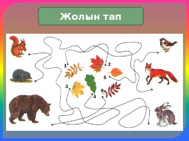 1 2 3 4 5 6 Жолын тап 1 2 3 4 5 6 Жолын тап