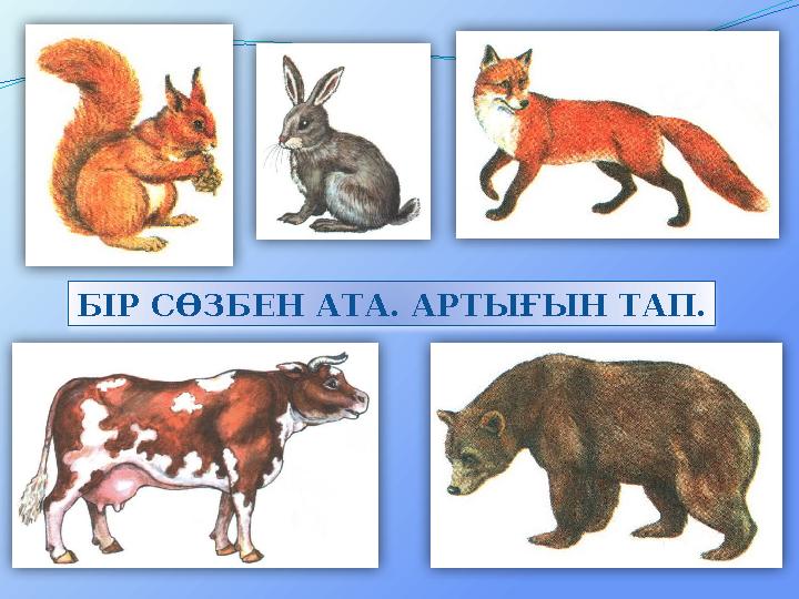 БІР СӨЗБЕН АТА. АРТЫҒЫН ТАП. БІР СӨЗБЕН АТА. АРТЫҒЫН ТАП.