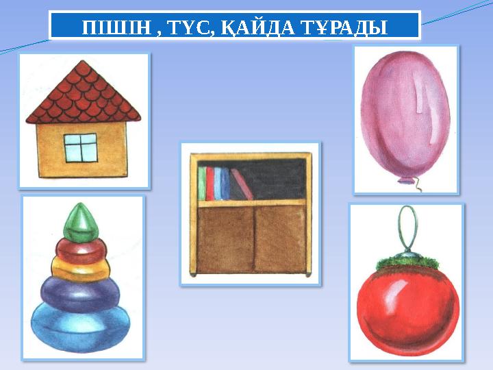 ПІШІН , ТҮС, ҚАЙДА ТҰРАДЫ ПІШІН , ТҮС, ҚАЙДА ТҰРАДЫ