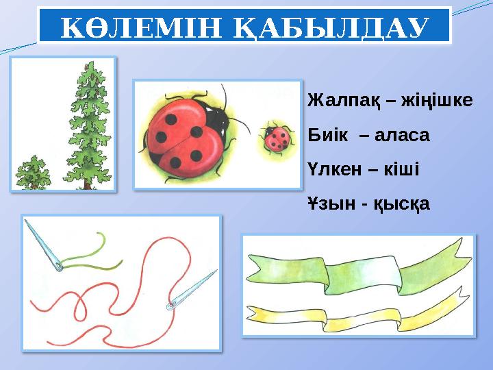 КӨЛЕМІН ҚАБЫЛДАУ Жалпақ – жіңішке Биік – аласа Үлкен – кіші Ұзын - қысқа КӨЛЕМІН ҚАБЫЛДАУ Жалпақ – жіңішке Биік – аласа Үлкен – кіші Ұзын - қысқа