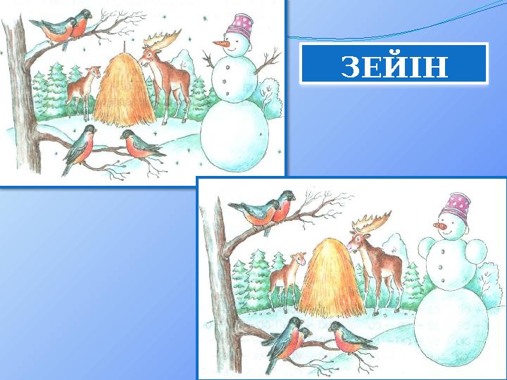 ЗЕЙІН ЗЕЙІН