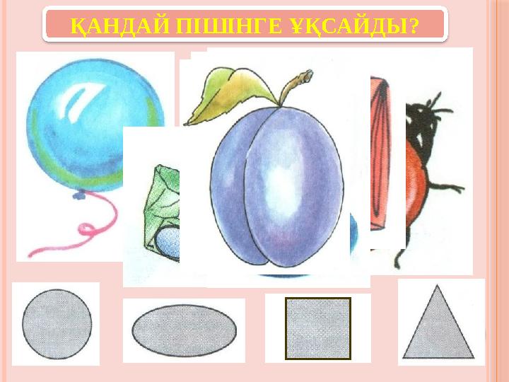 ҚАНДАЙ ПІШІНГЕ ҰҚСАЙДЫ? ҚАНДАЙ ПІШІНГЕ ҰҚСАЙДЫ?