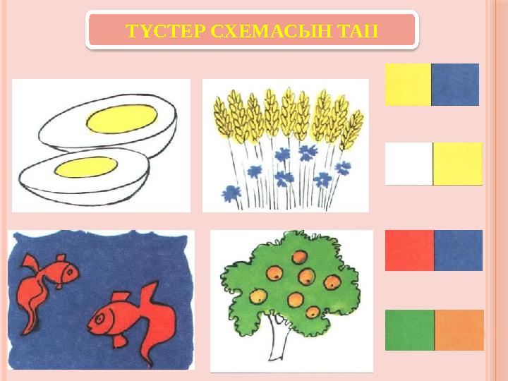 ТҮСТЕР СХЕМАСЫН ТАП ТҮСТЕР СХЕМАСЫН ТАП