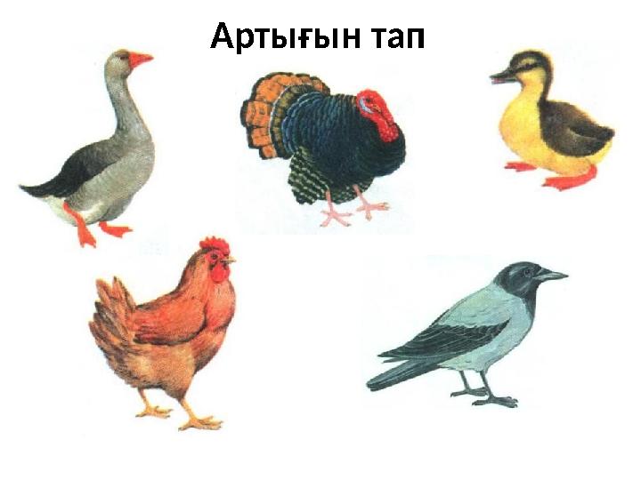 Артығын тап