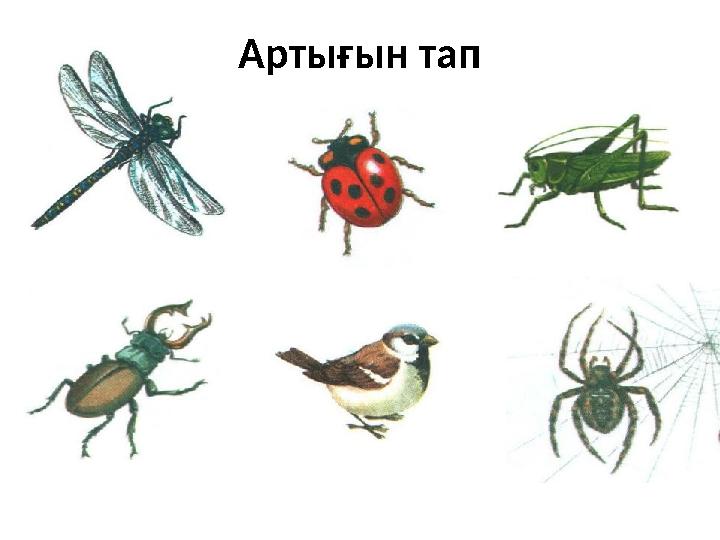 Артығын тап