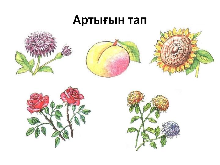 Артығын тап