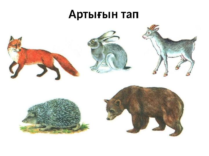 Артығын тап