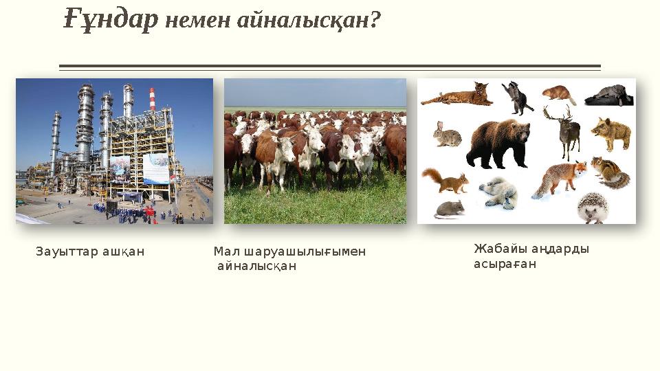 Ғұндар немен айналысқан? Зауыттар ашқан Мал шаруашылығымен айналысқан Жабайы аңдарды асыраған Ғұндар немен айналысқан? Зауыттар ашқан Мал шаруашылығымен айналысқан Жабайы аңдарды асыраған