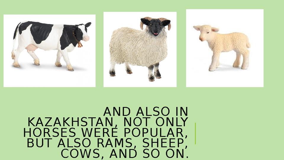 AND ALSO IN KAZAKHSTAN, NOT ONLY HORSES WERE POPULAR, BUT ALSO RAMS, SHEEP, COWS, AND SO ON.