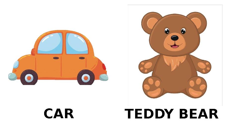 CAR TEDDY BEAR