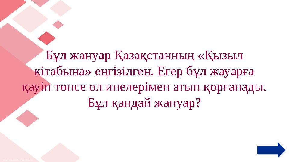 Бұл жануар Қазақстанның «Қызыл кітабына» еңгізілген. Егер бұл жауарға қауіп төнсе ол инелерімен атып қорғанады. Бұл қандай жа