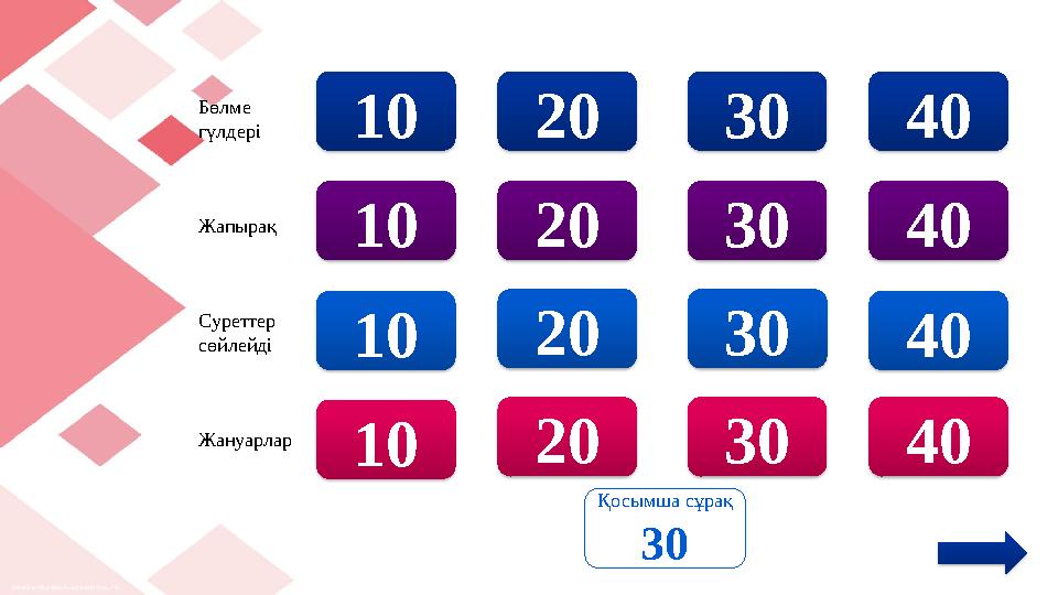 20 30 40 20 30 40 20 30 40 20 30 40 10 10 10 10 Қосымша сұрақ 30 Бөлме гүлдері Жапырақ Суреттер сөйлейді Жануарл