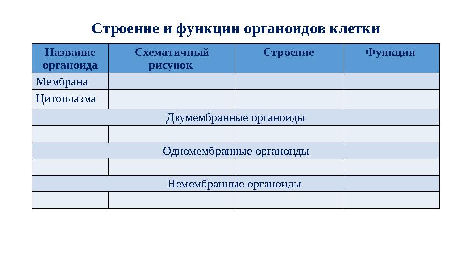 Строение и функции органоидов клетки Название органоида Схематичный рисунок Строение Функции Мембрана Цитоплазма Двумембранн