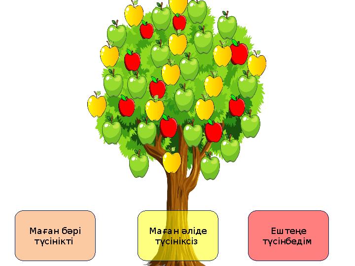 Маған бәрі түсінікті Маған әліде түсініксіз Ештеңе түсінбедім
