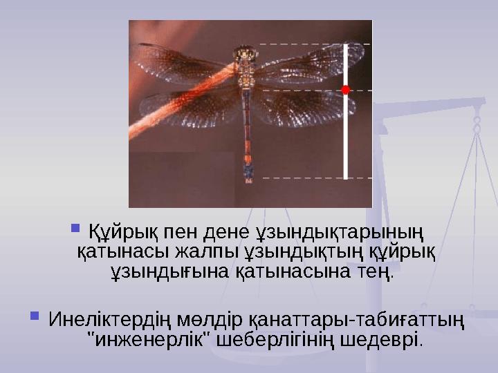  Құйрық пен дене ұзындықтарының қатынасы жалпы ұзындықтың құйрық ұзындығына қатынасына тең.  Инеліктердің мөлдір қанаттары-