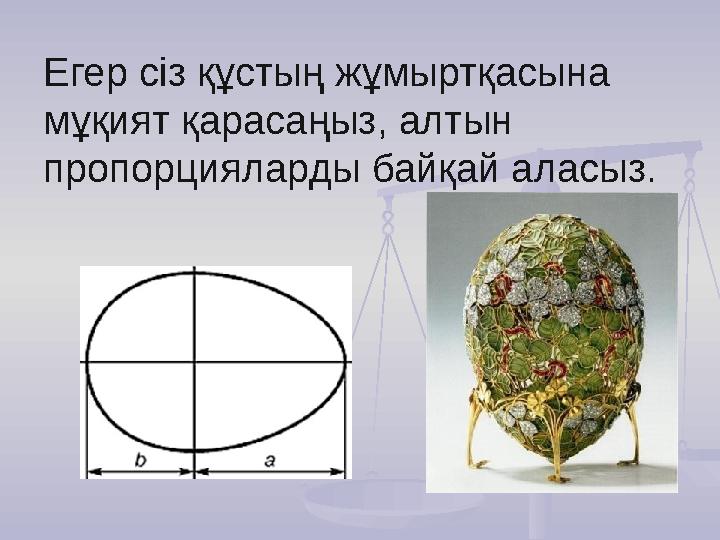 Егер сіз құстың жұмыртқасына мұқият қарасаңыз, алтын пропорцияларды байқай аласыз.