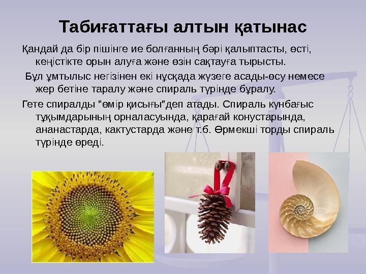 Табиғаттағы алтын қатынас Қандай да бір пішінге ие болғанның бәрі қалыптасты, өсті, кеңістікте орын алуға және өзін сақтауға ты