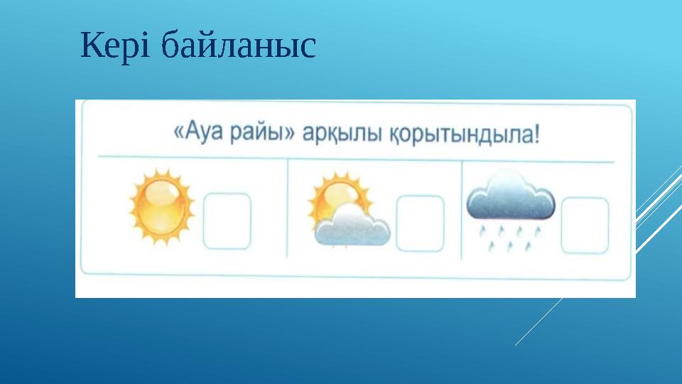 Кері байланыс