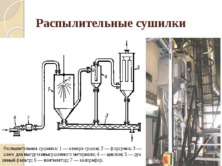 Распылительные сушилки Распылительная сушилка: 1 — камера сушки; 2 — форсунка; 3 — шнек для выгрузкивысушенного материал