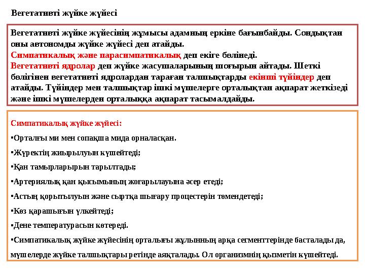Вегетативті жүйке жүйесі Вегетативті жүйке жүйесінің жұмысы адамның еркіне бағынбайды. Сондықтан оны автономды жүйке жүйесі деп
