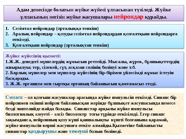 Адам денесінде болатын жүйке жүйесі ұлпасынан түзіледі. Жүйке ұлпасының негізін жүйке жасушалары нейрондар құрайды. 1.Сезімта