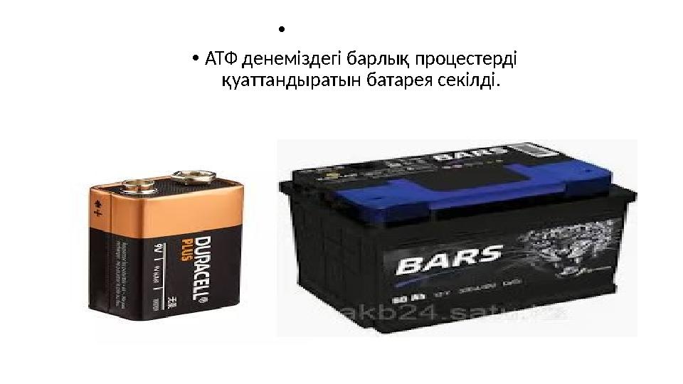 • •АТФ денеміздегі барлық процестерді қуаттандыратын батарея секілді.