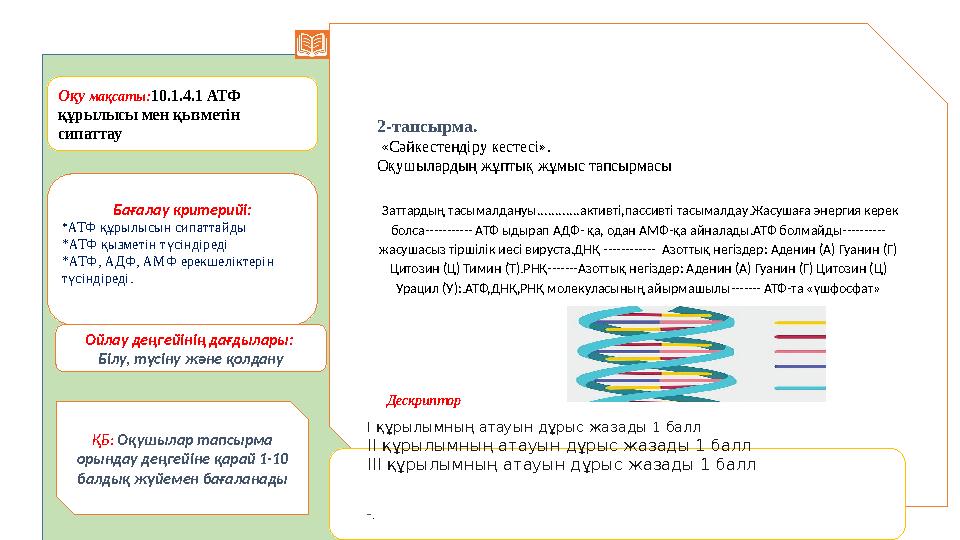 Қалыптастырушы бағалау тапсырмалары Оқу мақсаты:10.1.4.1 АТФ құрылысы мен қызметін сипаттау Бағалау критерийі: *АТФ құрылысын