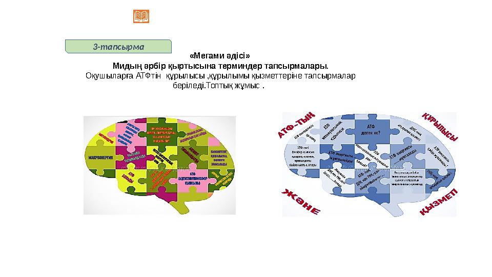 3-тапсырма «Мегами әдісі» Мидың әрбір қыртысына терминдер тапсырмалары. Оқушыларға АТФтін құрылысы ,құрылымы қызметтеріне та