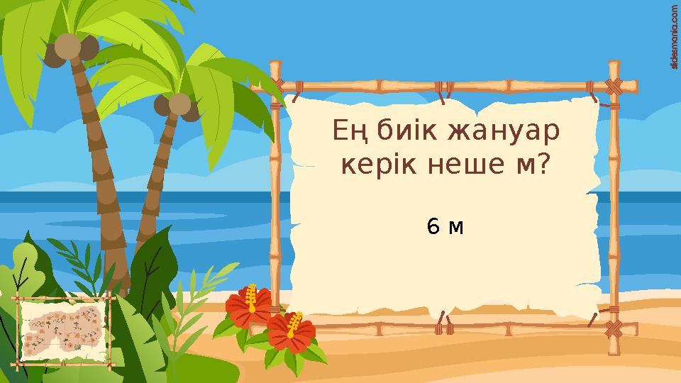 Ең биік жануар керік неше м? 6 м