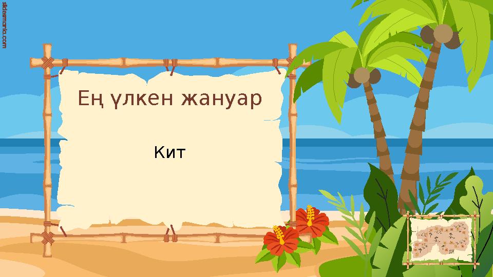 Ең үлкен жануар Кит