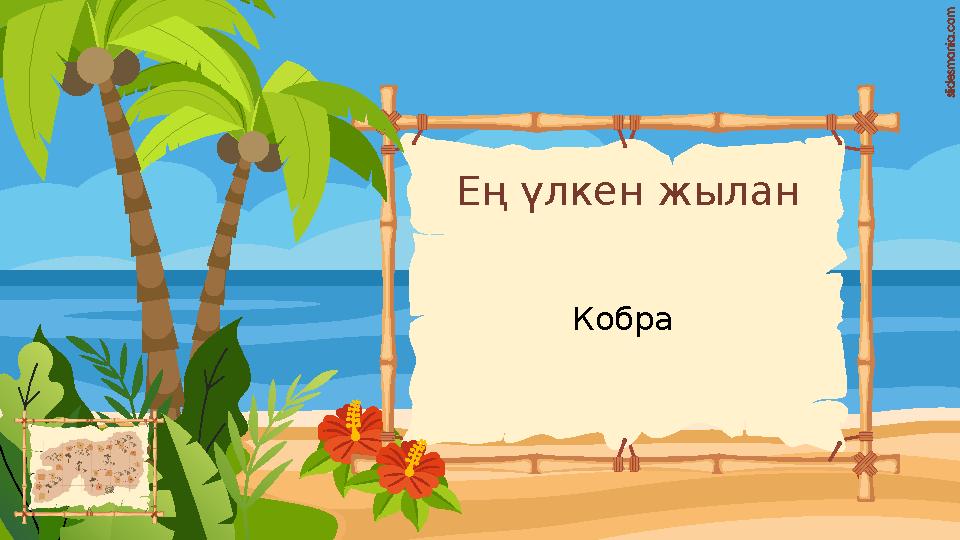 Ең үлкен жылан Кобра