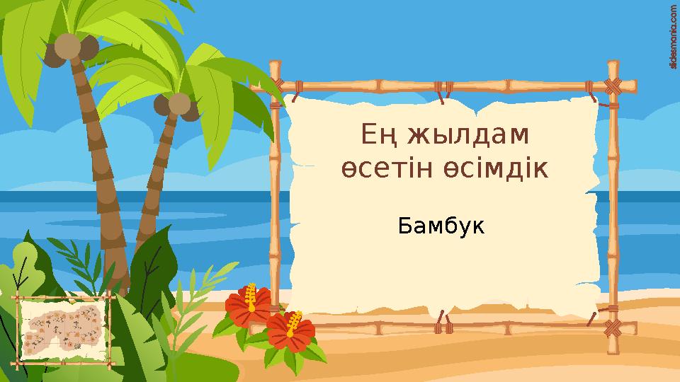 Ең жылдам өсетін өсімдік Бамбук