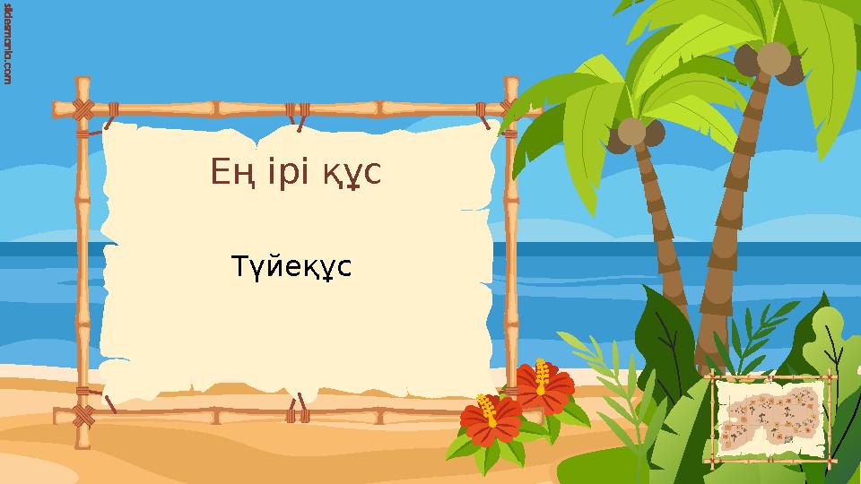 Ең ірі құс Түйеқұс