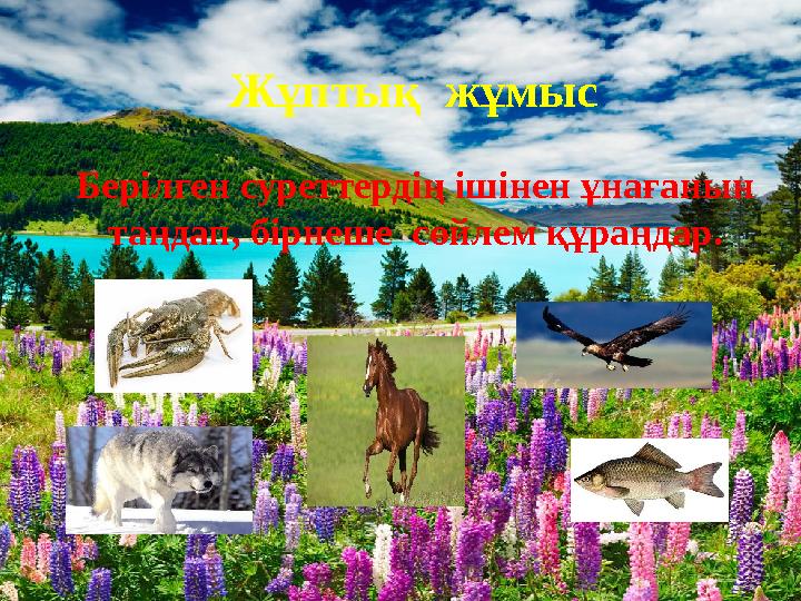 Берілген суреттердің ішінен ұнағанын таңдап, бірнеше сөйлем құраңдар. Жұптық жұмыс