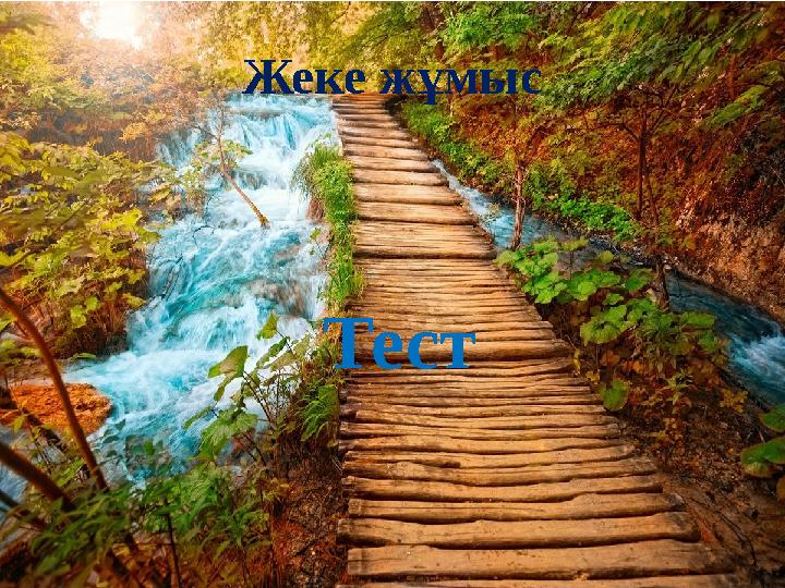 Жеке жұмыс Тест