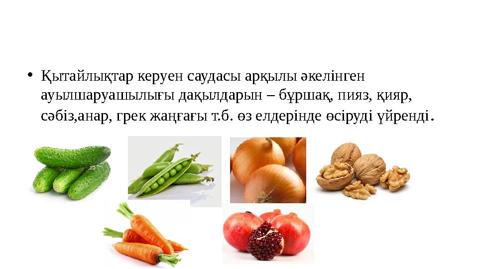 •Қытайлықтар керуен саудасы арқылы әкелінген ауылшаруашылығы дақылдарын – бұршақ, пияз, қияр, сәбіз,анар, грек жаңғағы т.б. өз