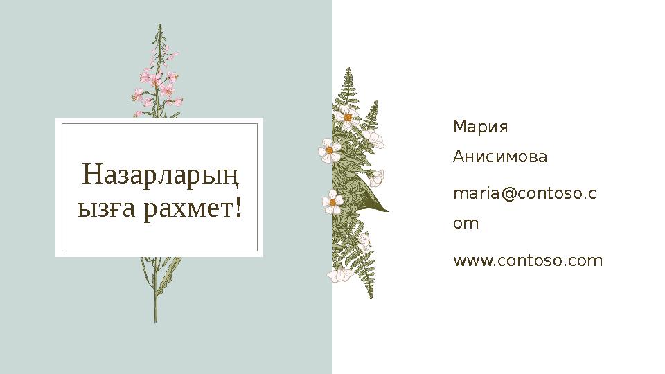 Назарларың ызға рахмет! Мария Анисимова maria@contoso.c om www.contoso.com