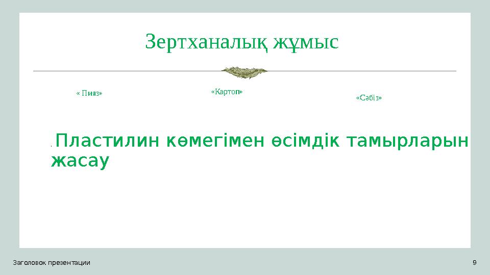 Зертханалық жұмыс « Пияз» . Пластилин көмегімен өсімдік тамырларын жасау «Картоп» «Сәбіз» Заголовок презентации 9