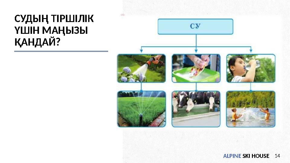 ALPINE SKI HOUSE14 СУДЫҢ ТІРШІЛІК ҮШІН МАҢЫЗЫ ҚАНДАЙ?