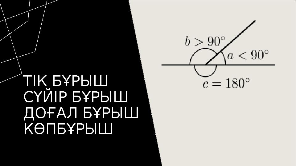 ТІК БҰРЫШ СҮЙІР БҰРЫШ ДОҒАЛ БҰРЫШ КӨПБҰРЫШ