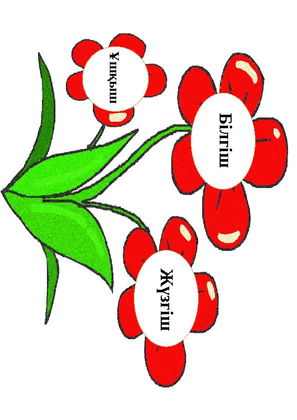 Ұ ш қ ы ш Б і л г і ш Ж ү з г і ш