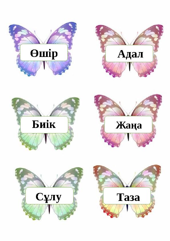 Өшір Адал Биік Жаңа Сұлу Таза