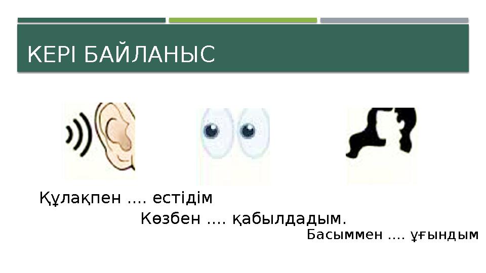 КЕРІ БАЙЛАНЫС Құлақпен .... естідім Көзбен .... қабылдадым. Басыммен .... ұғындым